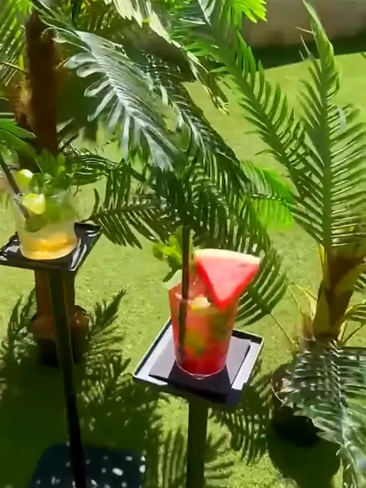 Mocktails aux fruits rouges et à la pastèque sur des présentoirs au milieu des palmiers